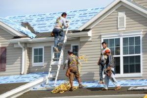 healthy roof