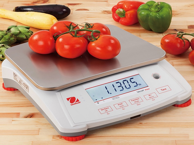 What are the best precision scales