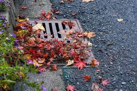 Different Types of Drainage Cleaning Services