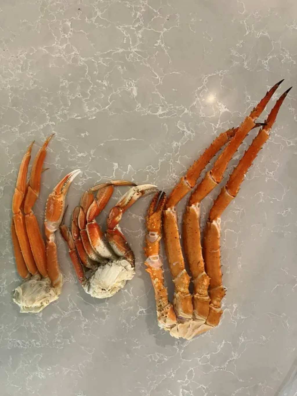 Crab Leg Type 