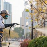 How to manage pests effectively? Learn why professional pest control is vital for urban health, safety, and property protection in dense city environments.